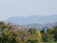 /album/oiseau/p1000169-jpg/